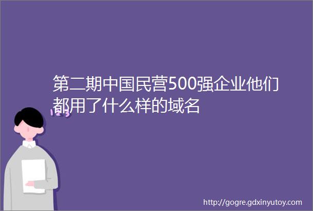 第二期中国民营500强企业他们都用了什么样的域名